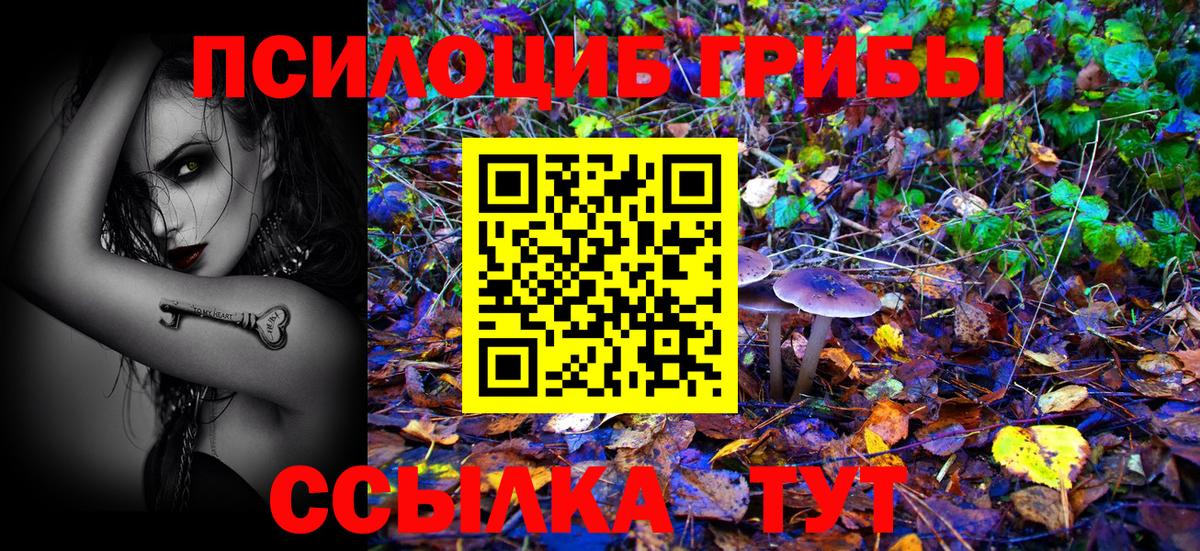 Галлюциногенные грибы прущие грибы  Вход с VPN  Ефремов 